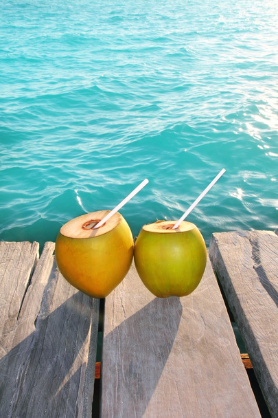 Coconuts cocktail palm tree leaf in Caribbean - 写真・画像