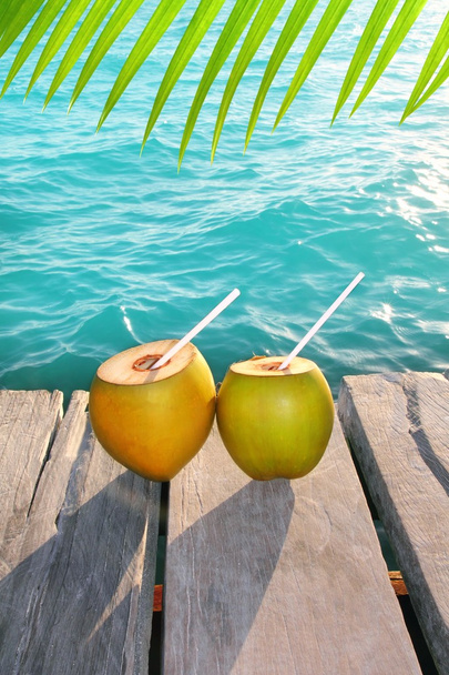 Coconuts cocktail palm tree leaf in Caribbean - Fotó, kép