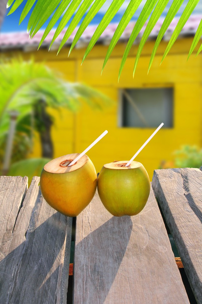 Coconuts straw cocktail tropica yellow house - Foto, Imagen