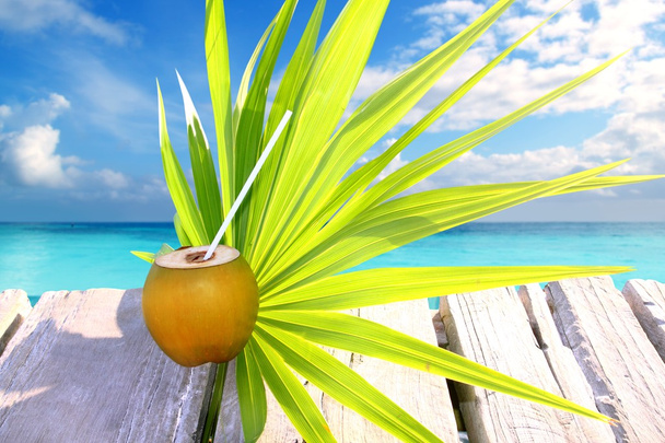 Coconut fresh in caribbean sea pier chit palm leaf - Fotografie, Obrázek