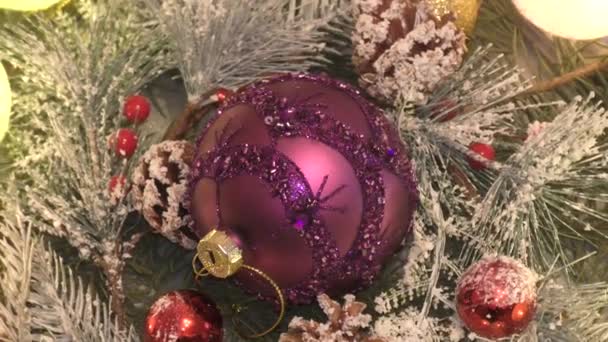 Noel ağacını Noel ve Yeni Yıl tatili için süsleyen renkli Noel baloları.  - Video, Çekim