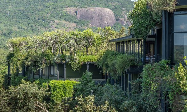 Landmark Kandalama Hotel in the jungle in central Sri Lanka - Foto, afbeelding