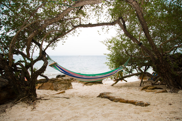 swing near sea - Фото, зображення