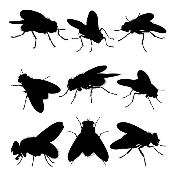 Fly silhouettes. Good use for symbol, logo, mascot, icon, sign, or any design you want. - Vetor, Imagem
