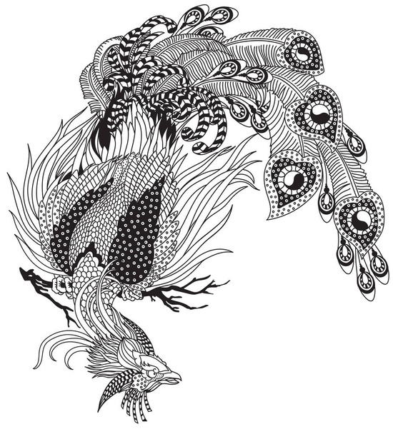 Çin Anka kuşu ya da Feng Huang sihirli kuşu. Göksel feng shui hayvanlarından biri. Siyah ve beyaz ana hatlı vektör çizimi - Vektör, Görsel