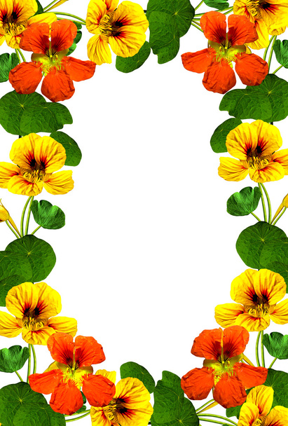 рамка осенних цветов настурция
 - Фото, изображение