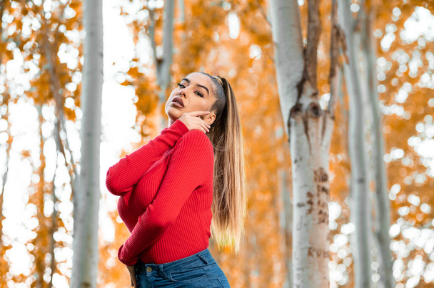 portrait of beautiful young woman in red sweater posing  - Foto, Imagem