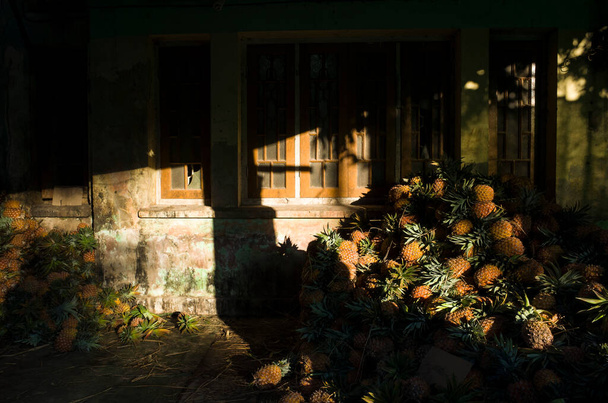 Shining pineapples from low evening sun with deep dark shades at Zay Cho Market in Mandalay, Myanmar - Foto, imagen