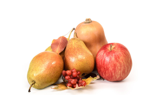 pommes et poires sur fond blanc avec ombre douce - Photo, image