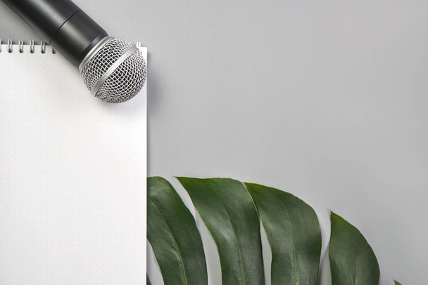 Podcast concept. Microphone, content notebook, monstera leaf. - 写真・画像