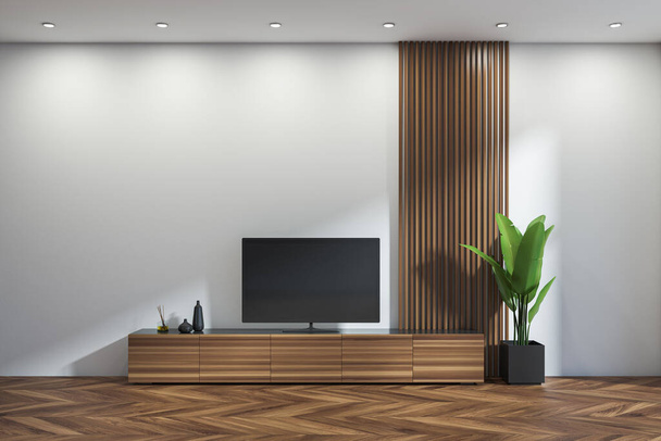 Modern hall room interior with tv screen and wooden drawer with plant on parquet floor. Minimalist relaxing room with decoration in modern apartment. 3D rendering - Foto, Bild