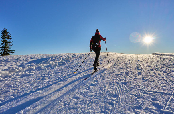      donna attiva sci di fondo Foresta di Bregenz Montagne vicino Sulzberg, Vorarlberg, Austria                            - Foto, immagini