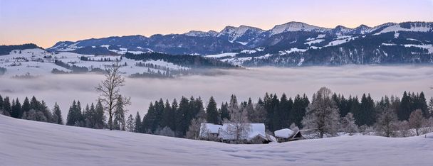     panoramic view to the snowy Nagelfluh Mountain chain in the Allgaeu Alps short befor Sunrise, landscape, Oberstaufen, Bavaria, Germany                            - Photo, Image