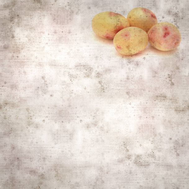 square stylish old textured paper background with new potatoes from Canary Islands - Φωτογραφία, εικόνα