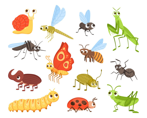 Lindos insectos. Insecto de dibujos animados y mascotas mariposa. Mariquita y libélula. Escarabajos coloridos y caracol con caras felices. Personajes divertidos de oruga o mosquito. Vector animales pequeños conjunto - Vector, Imagen