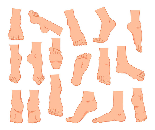 Çizgi film ayakları. Erkekler ve kadınlar çıplak ayak bilekleri ve parmakları. Bacak pozisyonu. Beyaz insan uzuvları. Çivi ve topuklu çıplak ayak parmakları. İnce taban. İnsan vücudu anatomisi elementleri ayarlandı - Vektör, Görsel