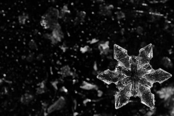 Crystal clear snowflake covered in water droplets on a black and white blurred background. - Foto, immagini
