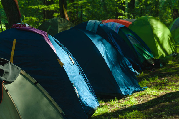 Ausgewanderte Touristen oder Flüchtlinge zelten im Morgengrauen im Wald. - Foto, Bild