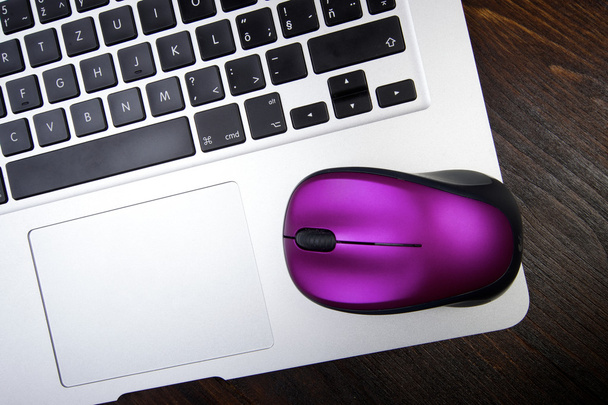 Комп'ютерна миша з ноутбуком
 - Фото, зображення