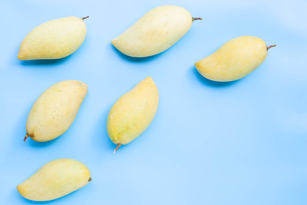 Tropical fruit, Mango on blue background. Top view - Photo, Image