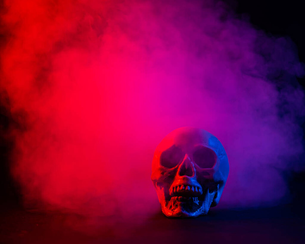 Human skull in pink and blue smoke on a black background. Halloween. - Photo, image