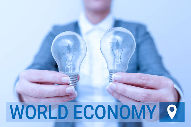 Sign displaying World Economy. Business approach Global Worldwide International markets trade money exchange Lady in business outfit holding two lamps presenting new technology ideas - Фото, зображення