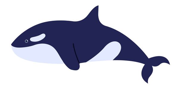 Killer whale cartoon sea character isolated on white - Вектор, зображення