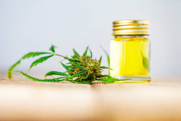 fresh bud marijuana medical cannabis oil cbd bottle - Foto, imagen