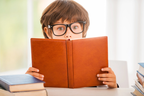 Boy reading book - Fotó, kép