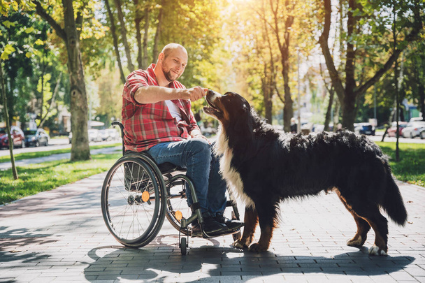Happy young man with a physical disability who uses wheelchair with his dog. - Fotó, kép