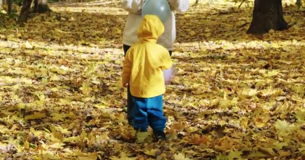 Ein kleines Kind spielt mit seiner Mutter in aufblasbaren Luftballons. Herbstliche Natur - Filmmaterial, Video