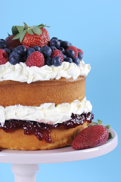 Sponge Layer Cake with fresh berries and whipped cream - Фото, изображение