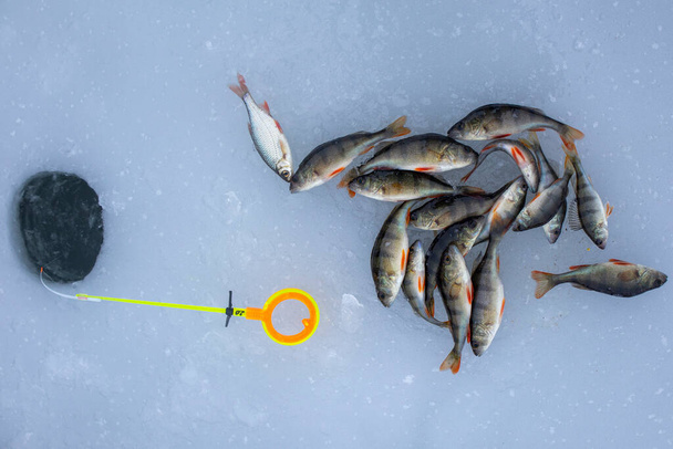 Buz matkabı, kış çubuğu ve buzdaki levrek balığı. Kış balıkçılık. - Fotoğraf, Görsel