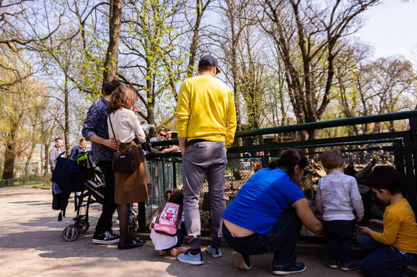POZNAN, POLAND - Apr 07, 2019: A back view of parents and children watching rabbits behind a fence in the zoo on a sunny day - Photo, image