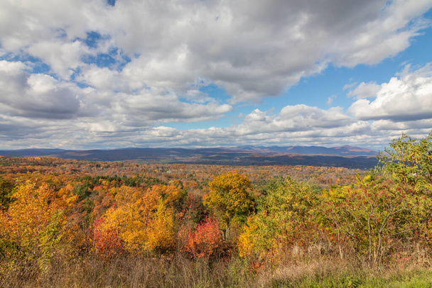 A scenic shot of the autumn forest on a cloudy day in Minnewaska State Park, Kerhonkson, NY, USA - Photo, image