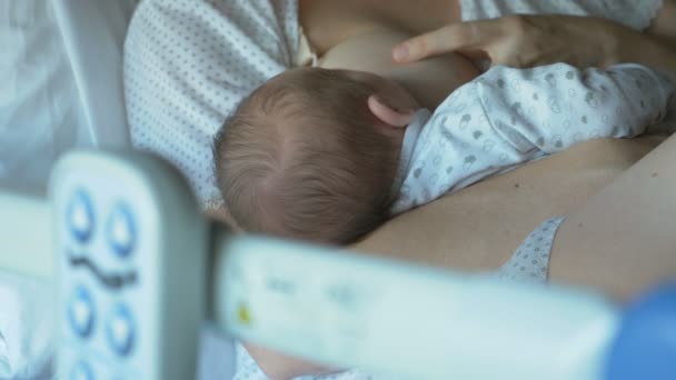 First mothers milk after childbirth - Кадры, видео