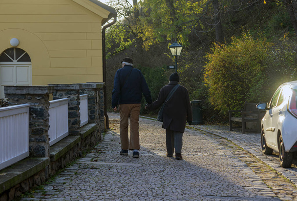 Γέροι ερωτευμένοι σε μια βόλτα στο πάρκο - Φωτογραφία, εικόνα