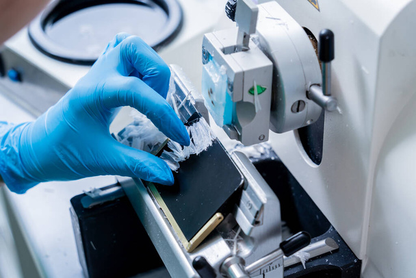 Asystent laboratoryjny pracuje nad sekcją mikrotomu obrotowego i wykonaniem szkiełek mikroskopowych - Zdjęcie, obraz
