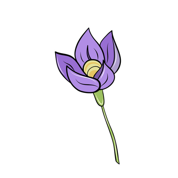 violet fleur de crocus de printemps dessinée à la main dans le style de dessin animé pour la conception de la carte - Vecteur, image