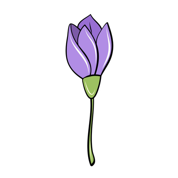 mão de flor de crocus de primavera roxo desenhado em estilo de desenho animado para design de cartão - Vetor, Imagem