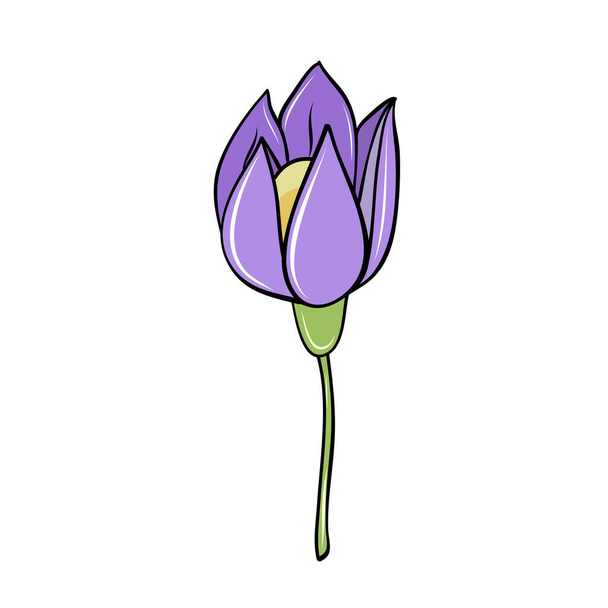 purple spring crocus flower hand drawn in cartoon style for card design - Vektor, kép