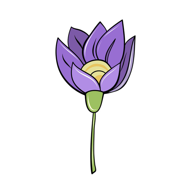 фіолетова весняна квітка кроку, намальована в мультиплікаційному стилі для дизайну карт
 - Вектор, зображення