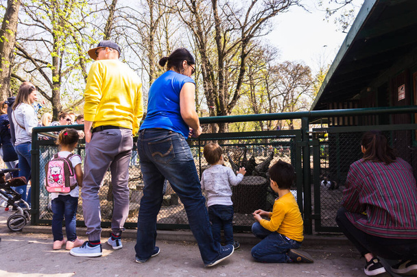 POZNAN, POLAND - Apr 07, 2019: The adults and children watching animals behind a barrier in the old zoo. - Фото, зображення