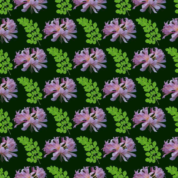Purple lily flower & Moringa Leaf Seamless Pattern Design - Vector, imagen
