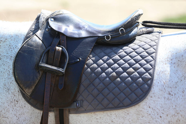 Close up of a sport horse saddle. Old quality leather saddle ready for show jumping  event. Equestrian sport background outdoors - Foto, immagini