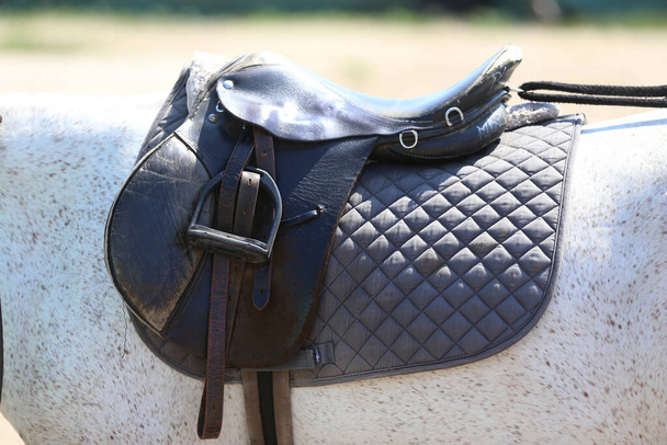 Close up of a sport horse saddle. Old quality leather saddle ready for show jumping  event. Equestrian sport background outdoors - Фото, зображення