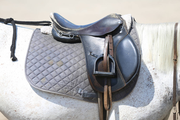 Close up of a sport horse saddle. Old quality leather saddle ready for show jumping  event. Equestrian sport background outdoors - Foto, Imagem