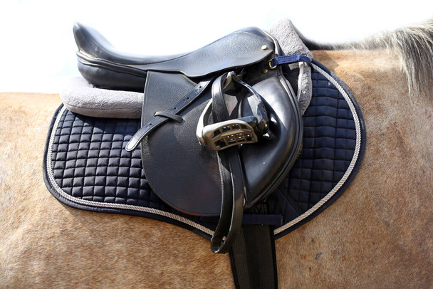 Close up of a sport horse saddle. Old quality leather saddle ready for show jumping  event. Equestrian sport background outdoors - 写真・画像