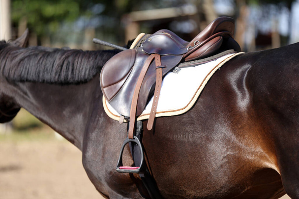 Close up of a sport horse saddle. Old quality leather saddle ready for show jumping  event. Equestrian sport background outdoors - Фото, зображення