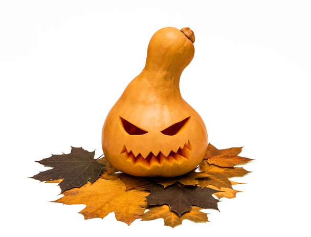 Calabaza aislada tallada para fiesta de Halloween - Foto, Imagen